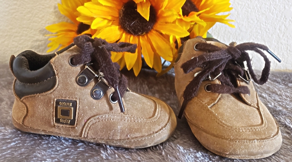 Sesame Street Boots